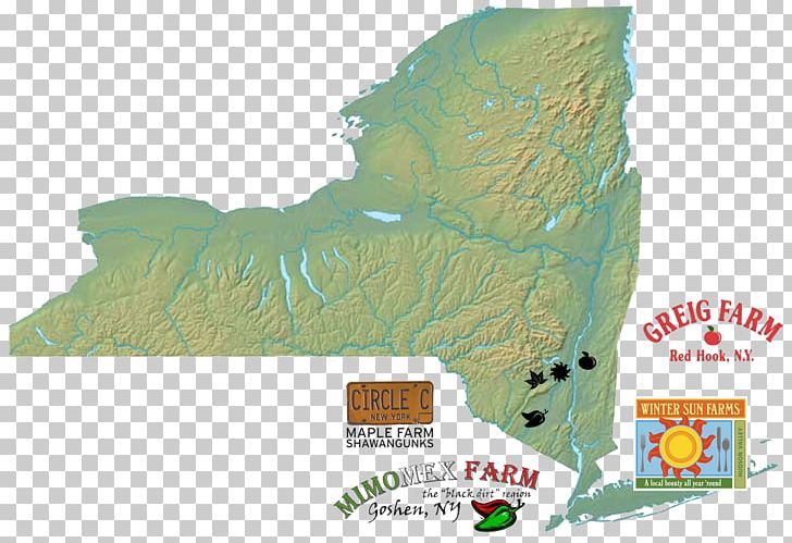 New York City Map Graphics Illustration PNG, Clipart, Can Stock Photo, Collective Farm, Google Maps, Map, New York Free PNG Download