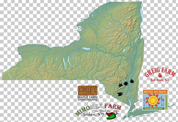 New York City Map Graphics Illustration Png Clipart Can