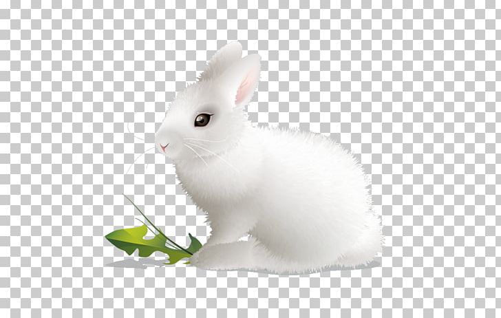 Domestic Rabbit White Rabbit European Rabbit PNG, Clipart, Desktop Wallpaper, Digital Scrapbooking, Domestic Rabbit, European Rabbit, Hare Free PNG Download