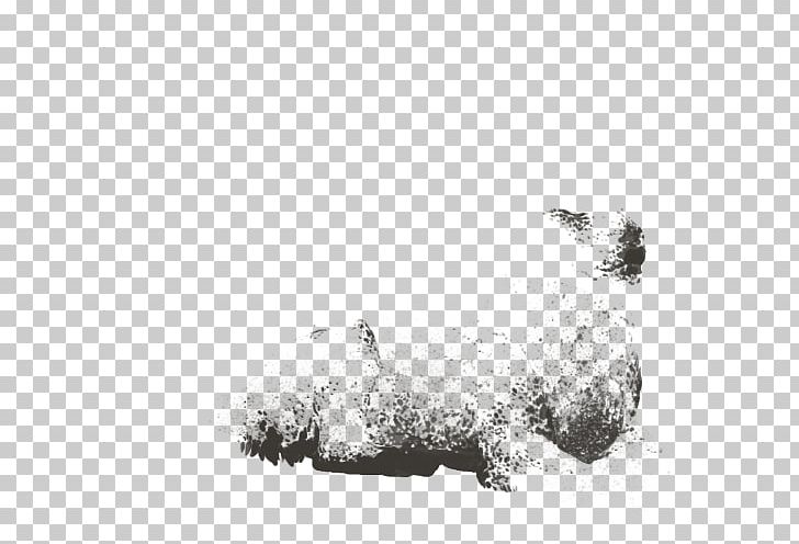 Felidae Canidae Lion Hyena Carnivora PNG, Clipart, Animals, Bear, Black And White, Canidae, Carnivora Free PNG Download