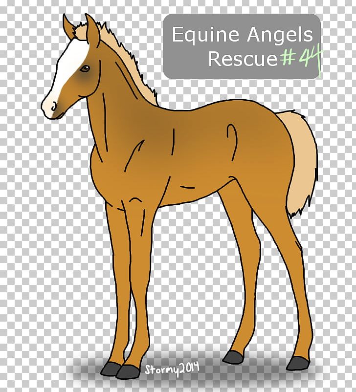 Mule Foal Mustang Mare Stallion PNG, Clipart,  Free PNG Download