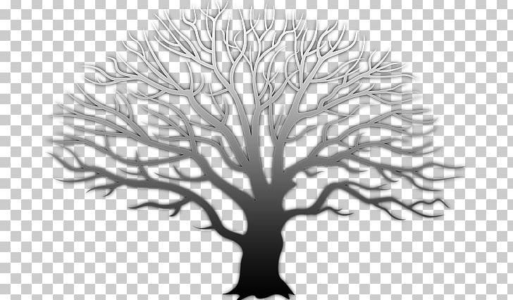 Tree PNG, Clipart, Black And White, Branch, Document, Download, Drawing Free PNG Download