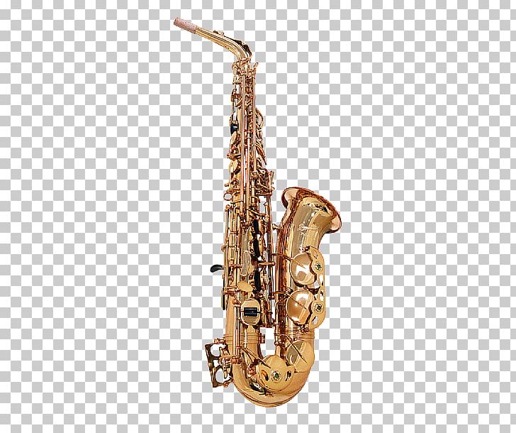 Baritone Saxophone Clarinet Family Bass Oboe PNG, Clipart, 01504, Baritone, Baritone Saxophone, Bass, Bass Oboe Free PNG Download