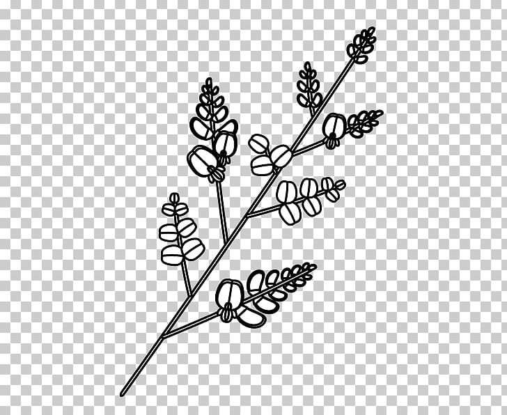 Black And White Coloring Book Illustration Graphics Monochrome Painting PNG, Clipart, Autumn, Black And White, Black Clover, Branch, Clover Free PNG Download