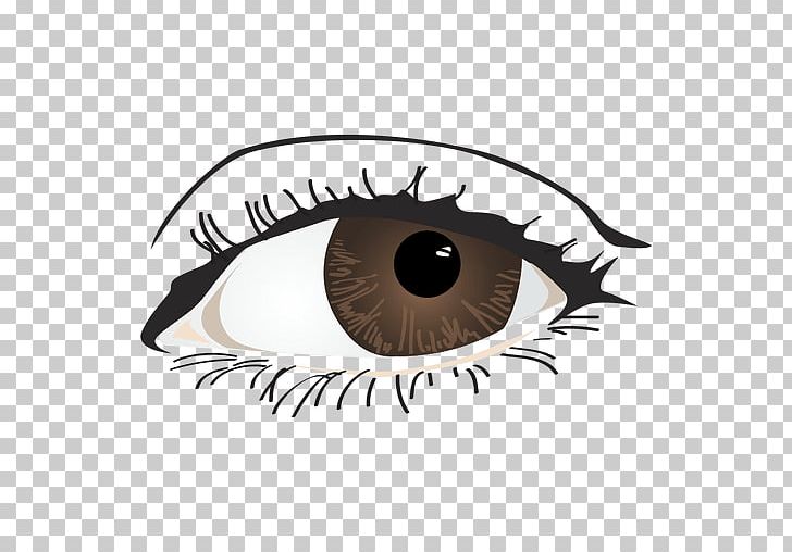 Eye Color PNG, Clipart, Brand, Brown, Closeup, Color, Eye Free PNG Download