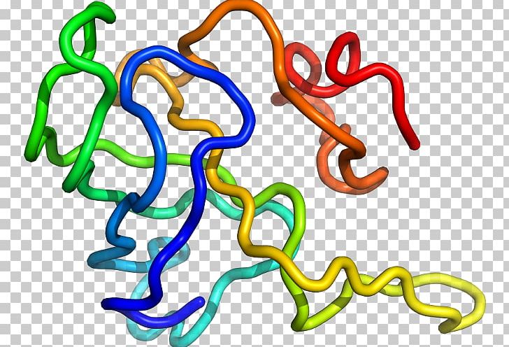 Body Jewellery Organism Line PNG, Clipart, Animal Figure, Area, Art, Body Jewellery, Body Jewelry Free PNG Download