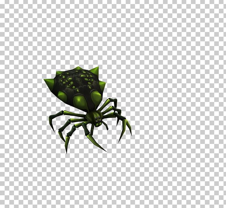 Insect Pollinator Flower Invertebrate Arachnid PNG, Clipart, Animal, Animals, Arachnid, Arthropod, Flower Free PNG Download