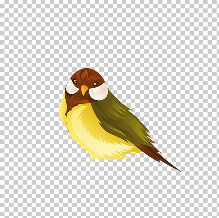Lovebird Parrot Domestic Canary PNG, Clipart, Animal, Animals, Beak, Bird, Bird Cage Free PNG Download