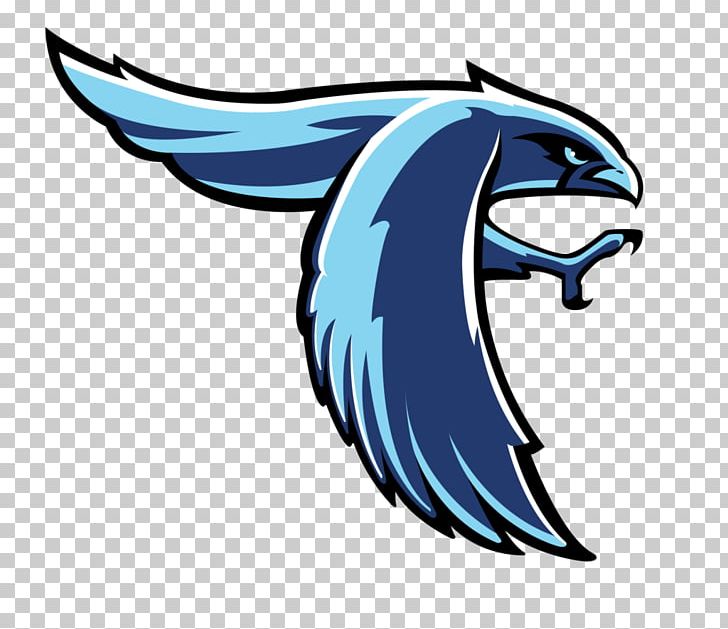 Southport High School Perry Meridian High School Perry Meridian Middle School Pike High School PNG, Clipart, Artwork, Bird, Dolphin, Fauna, Fictional Character Free PNG Download