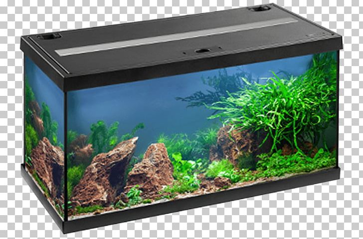 Aquarium Eheim Fishkeeping Light-emitting Diode Acuario Aberiak PNG, Clipart, Acuario, Acuario Aberiak, Aquarium, Aquarium Decor, Aquarium Lighting Free PNG Download