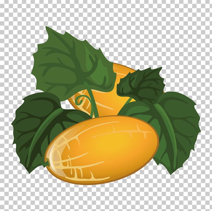 Canary Melon Fruit Cantaloupe PNG, Clipart, Bitter Melon, Canary Melon, Cantaloupe, Cartoon, Cartoon Fruit Free PNG Download
