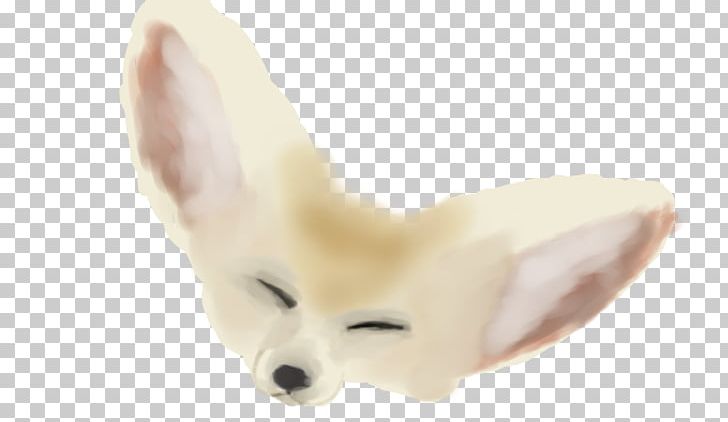 Dog Ear Fur Snout PNG, Clipart, Carnivoran, Dog, Dog Like Mammal, Ear, Fennec Fox Free PNG Download