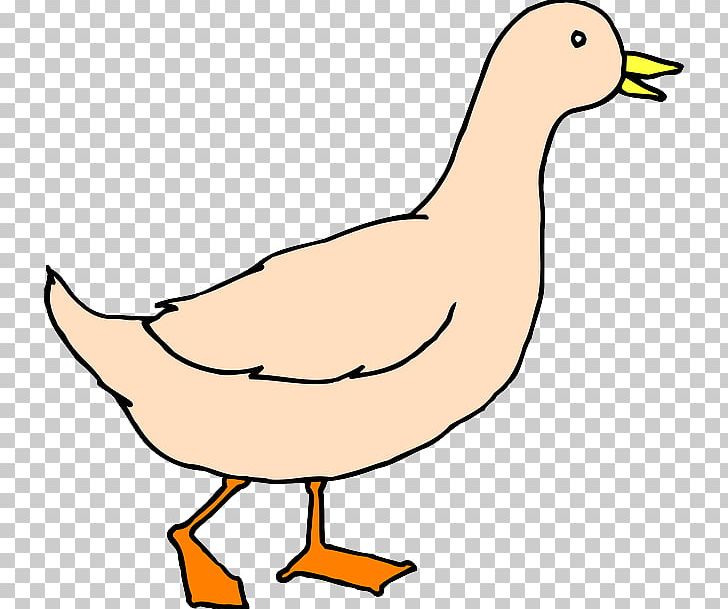 Duck Goose Mallard PNG, Clipart, American Pekin, Animals, Artwork, Baby Duckling, Beak Free PNG Download