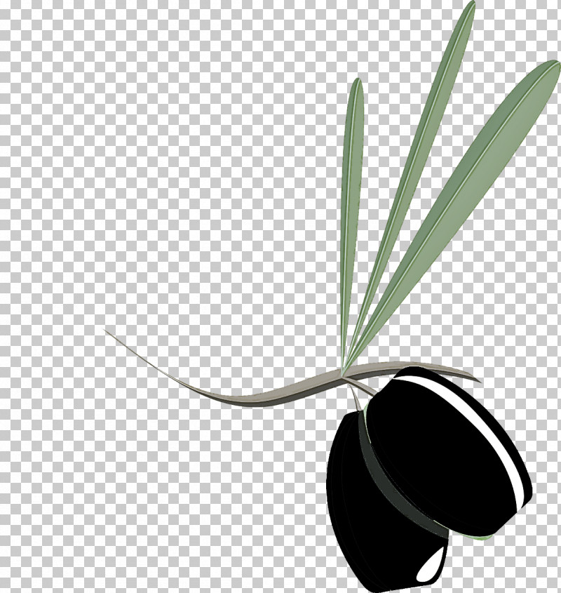 Leaf Plant Flower Olive PNG, Clipart, Flower, Leaf, Olive, Plant Free PNG Download