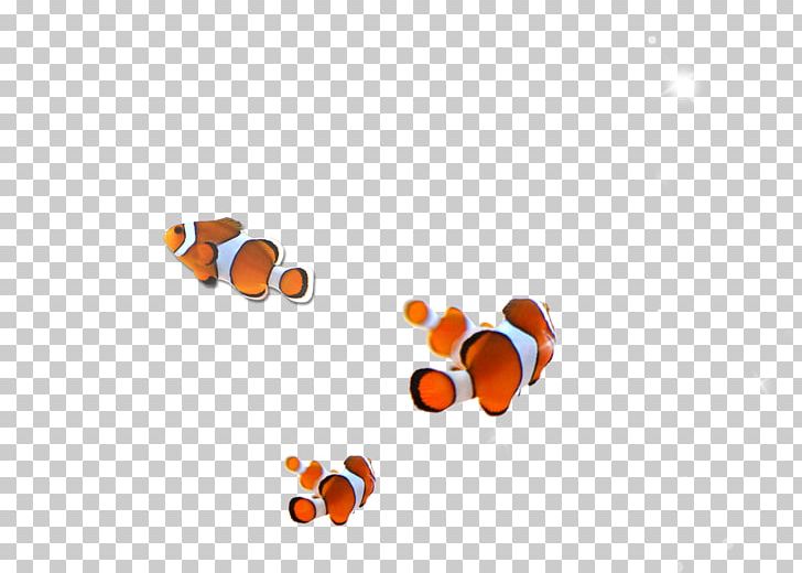 Cartoon Computer Pattern PNG, Clipart, Animals, Aquarium Fish, Cartoon, Circle, Computer Free PNG Download
