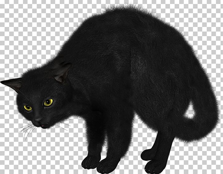 Manx Cat Bombay Cat Nebelung Korat European Shorthair PNG, Clipart, Animal, Animals, Black, Black And White, Black Cat Free PNG Download