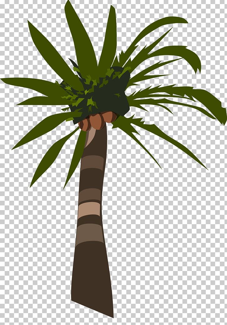 Tree PNG, Clipart, African Oil Palm, Arecaceae, Arecales, Borassus Flabellifer, Branch Free PNG Download