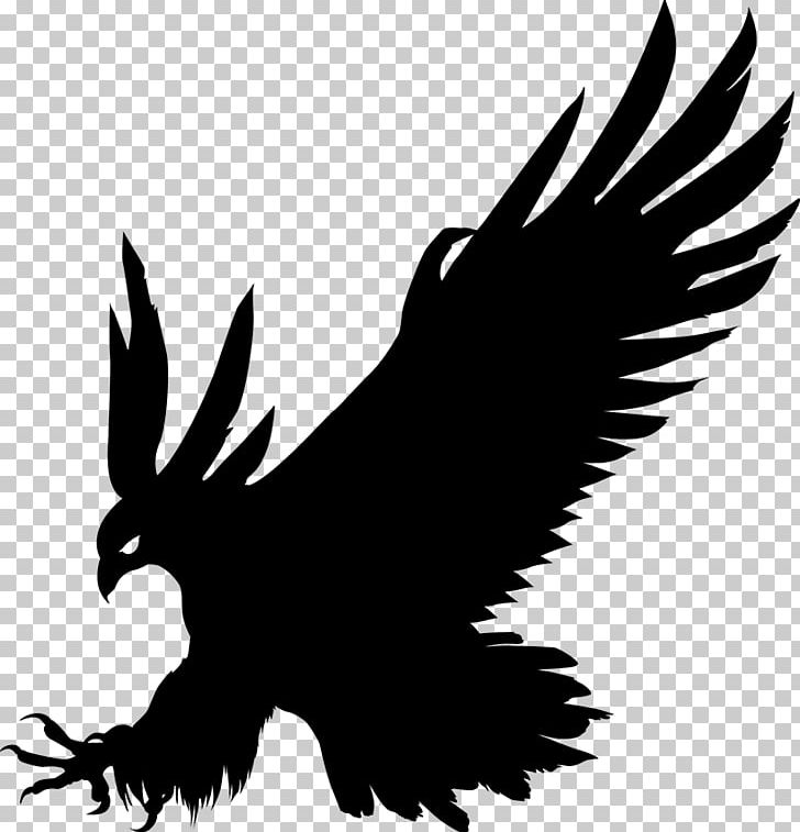 Bald Eagle Bird Silhouette Gray Wolf PNG, Clipart, Accipitriformes, Animals, Bald Eagle, Beak, Bird Free PNG Download