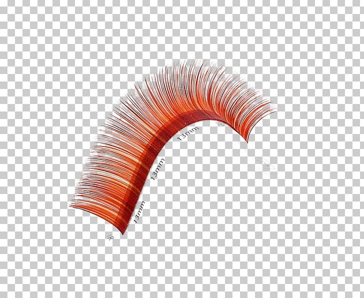 Eyelash PNG, Clipart, Art, Eyelash, Orange Free PNG Download