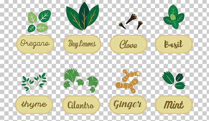 Profiterole European Cuisine Herb Vanilla PNG, Clipart, Brand, Download, Drawing, European Cuisine, Flavor Free PNG Download