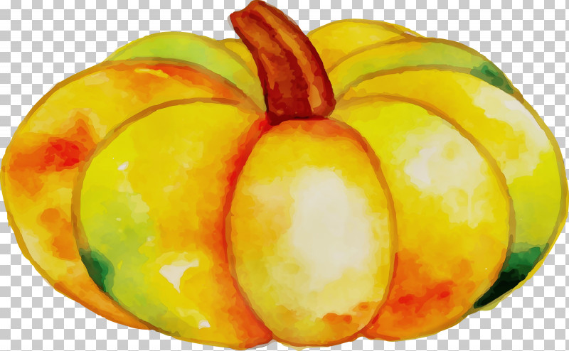 Autumn Harvest Winter Vegetable PNG, Clipart, Apple, Autumn, Autumn Color, Autumn Harvest, Gourd Free PNG Download