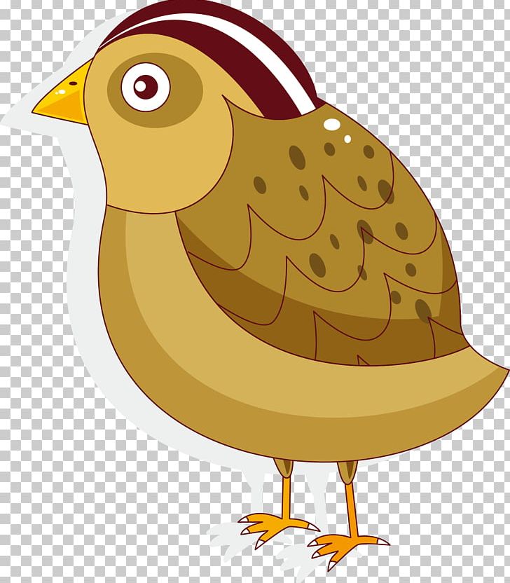 Bird Rooster PNG, Clipart, Animal, Animals, Beak, Cartoon, Cartoon Chick Free PNG Download