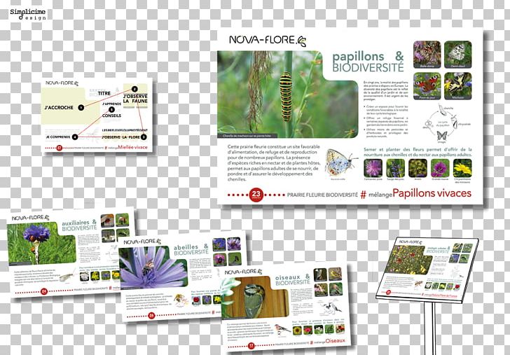 Communication Biodiversity Handicraft PNG, Clipart, Biodiversity, Brand, Communication, Computer Software, Empresa Free PNG Download
