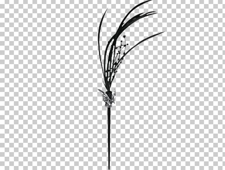 Hair Sorting Algorithm Laila World Grasses Jewellery PNG, Clipart, Average, Black, Black And White, Branch, Flowering Plant Free PNG Download