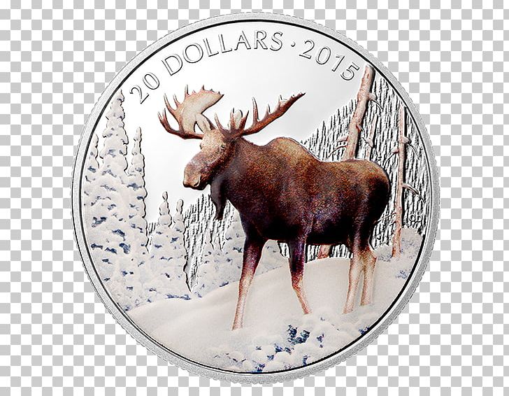 Moose Reindeer Antler Dollar Coin PNG, Clipart, Antler, Cartoon, Coin, Deer, Dollar Coin Free PNG Download