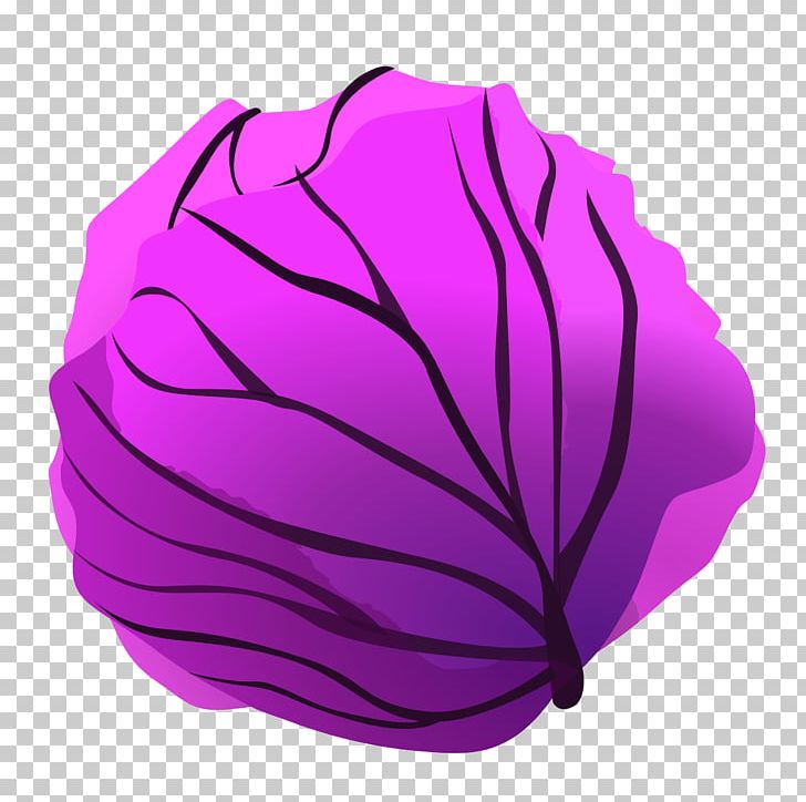Red Cabbage Savoy Cabbage Cauliflower PNG, Clipart, Brassica Oleracea, Cabbage, Cauliflower, Chinese Cabbage, Clip Art Free PNG Download