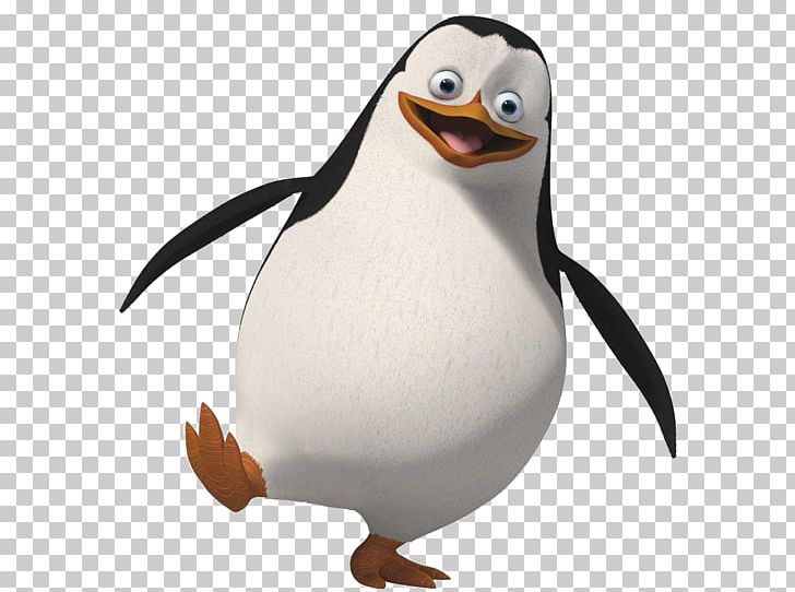 Skipper Penguin Desktop PNG, Clipart, Animals, Beak, Bird, Desktop Wallpaper, Display Resolution Free PNG Download