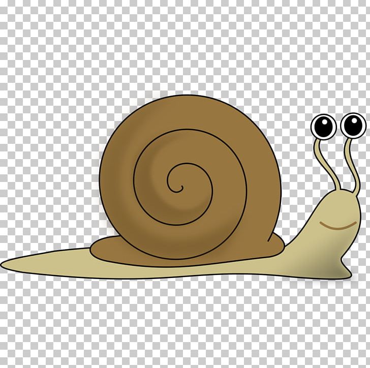 Snail PNG, Clipart, Animals, Clip Art, Desktop Wallpaper, Gastropod Shell, Heliciculture Free PNG Download