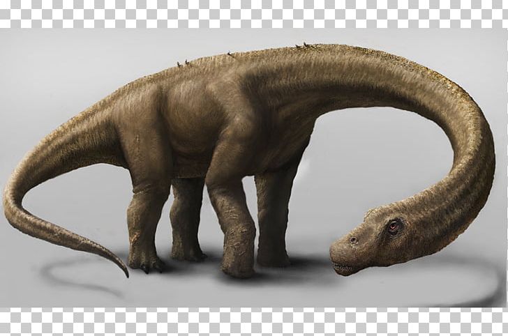 Dinosaur Size Dreadnoughtus Turiasaurus Tyrannosaurus PNG, Clipart, Apatosaurus, Dinosaur, Dinosaur Size, Dreadnoughtus, Extinction Free PNG Download
