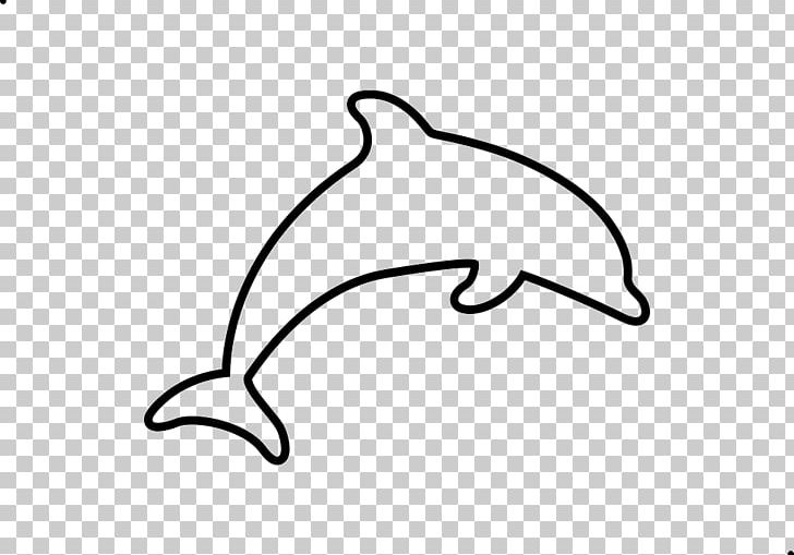 Leaf White Line Art Marine Mammal PNG, Clipart, Artwork, Beak, Black And White, Cdr, Dolphin Free PNG Download