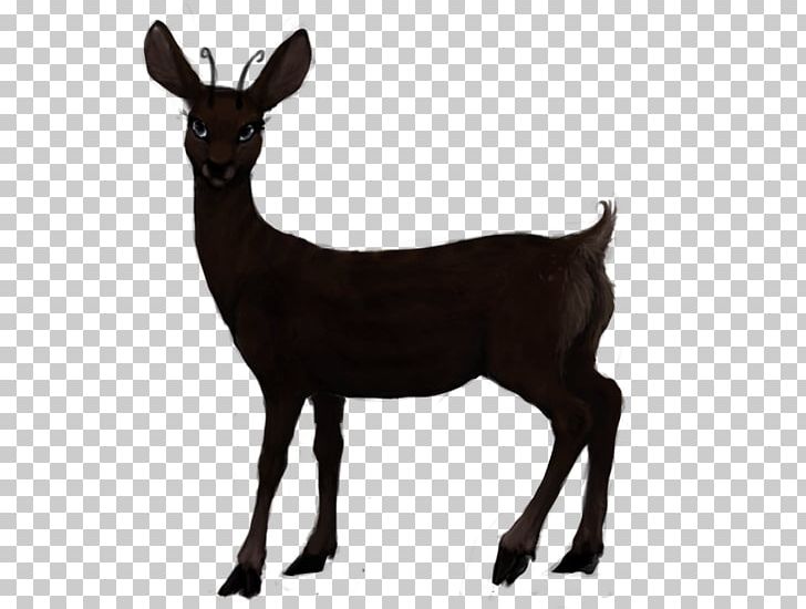 Roe Deer Red Deer White-tailed Deer Elk PNG, Clipart, Animals, Antelope, Antler, Capreolus, Cow Goat Family Free PNG Download