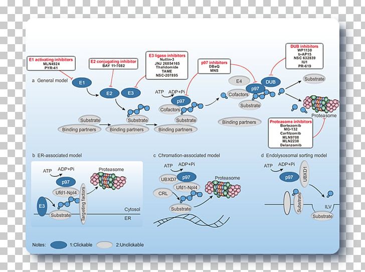 Brand Technology Diagram PNG, Clipart, Brand, Communication, Diagram, Electronics, Technology Free PNG Download