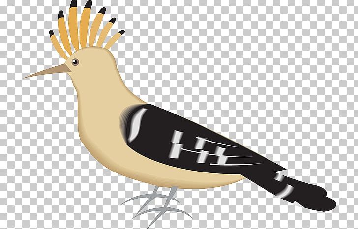 Bryanston Sports Club Bird Eurasian Hoopoe PNG, Clipart, Animals, Beak, Bird, Computer Icons, Download Free PNG Download