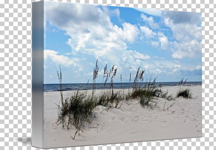 Gallery Wrap Frames Wind Sand Canvas PNG, Clipart, Art, Beach, Calm, Canvas, Coast Free PNG Download