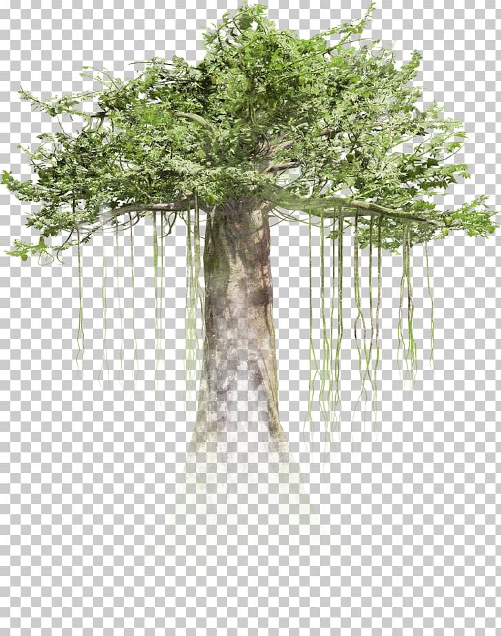 HTC Vive Virtual Reality Tree Immersion Film PNG, Clipart, Anna Newman, Branch, Extraordinary Honey Bee, Film, Film Director Free PNG Download