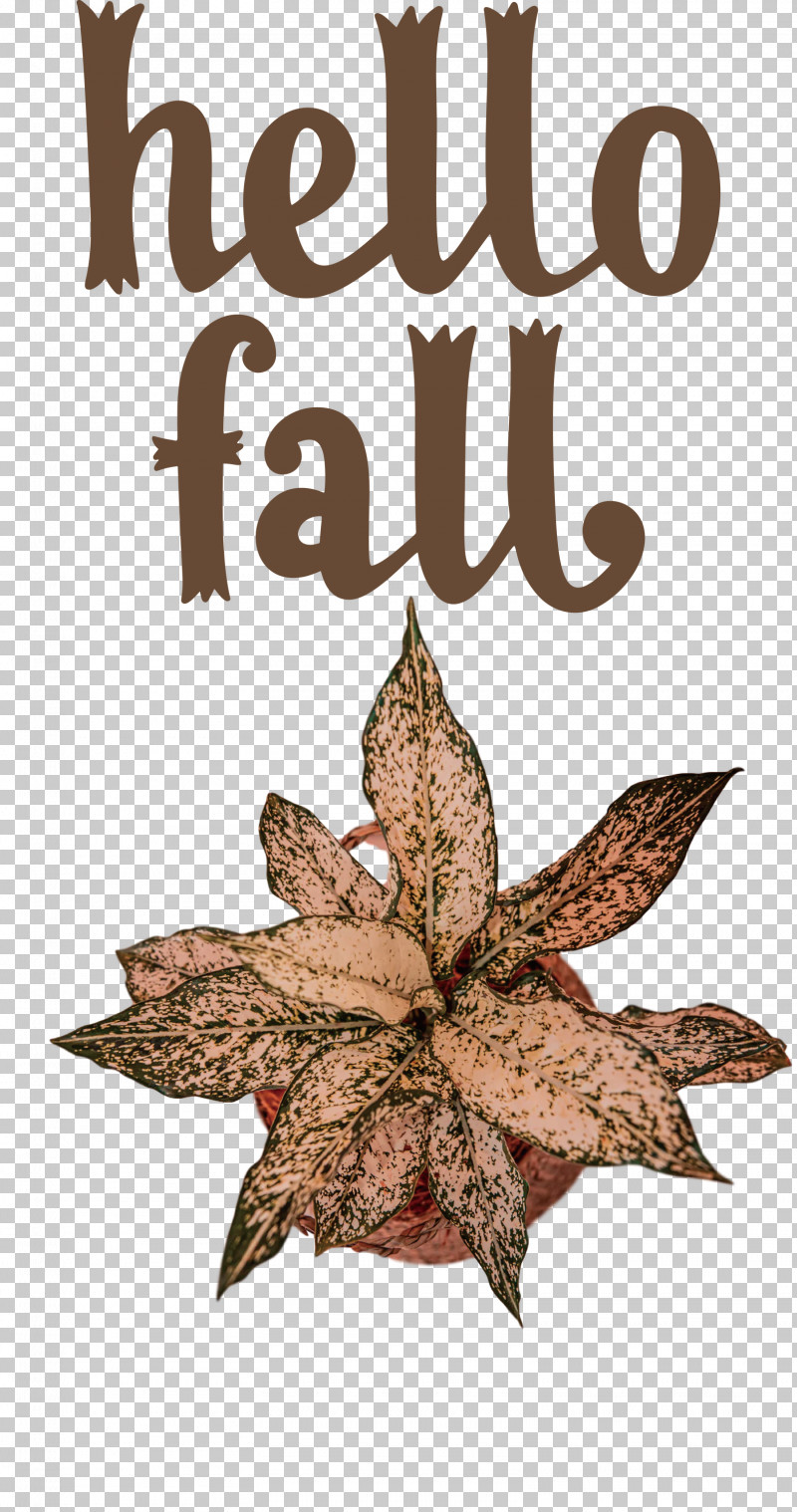 Hello Fall Fall Autumn PNG, Clipart, Autumn, Autumn Wreath, Craft, Fall, Flower Free PNG Download