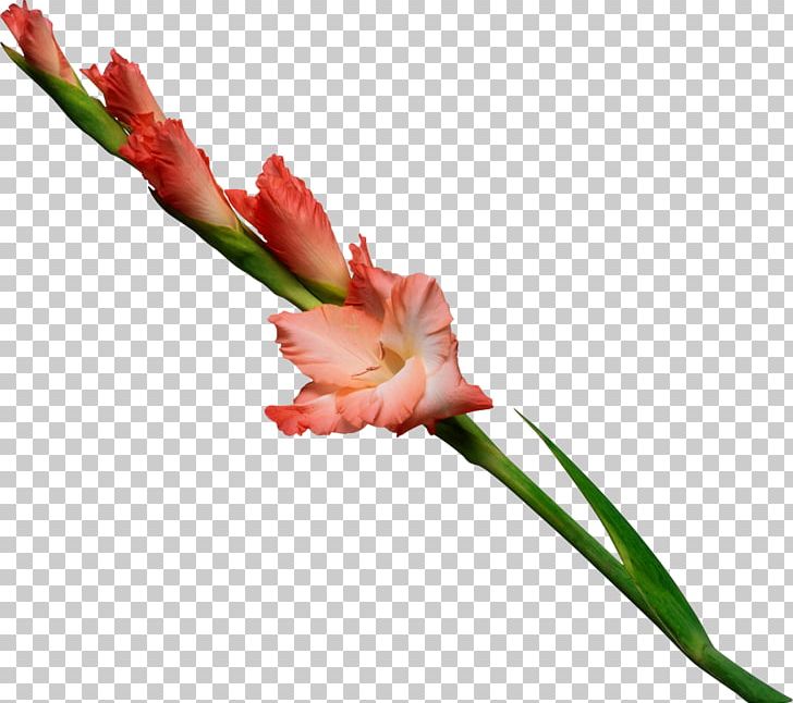 Artificial Flower Plant Stem Flower Bouquet Wedding PNG, Clipart, Artificial Flower, Bride, Bud, Cut Flowers, Floral Design Free PNG Download