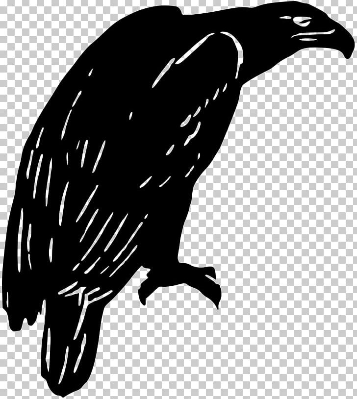 Beak Silhouette Bird PNG, Clipart, Animals, Beak, Bird, Bird Of Prey, Black And White Free PNG Download