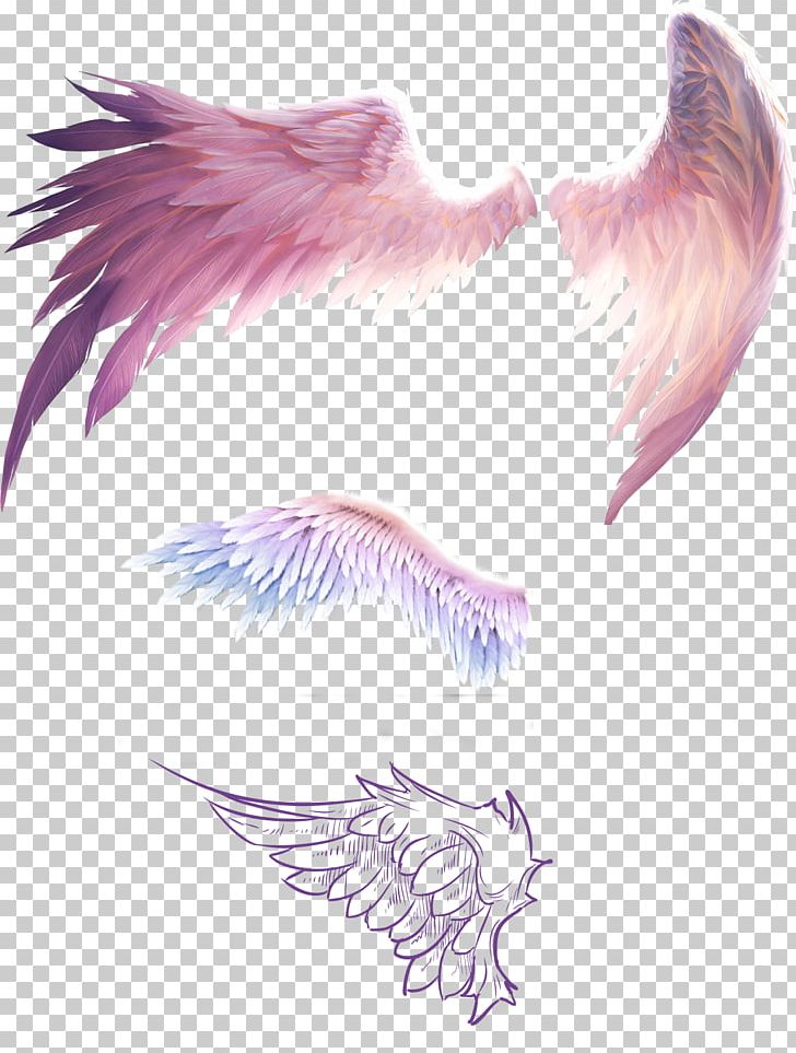 flying angel wings