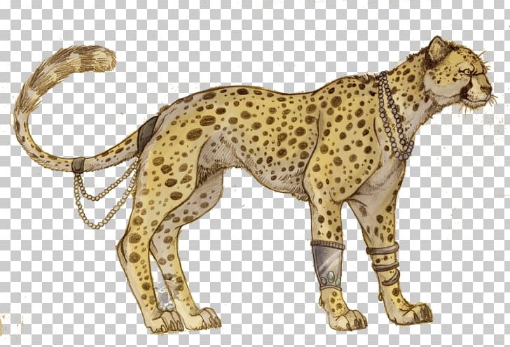 Cheetah Felidae Tiger Cat Lion PNG, Clipart, Animals, Big Cat, Big Cats, Carnivoran, Cat Free PNG Download