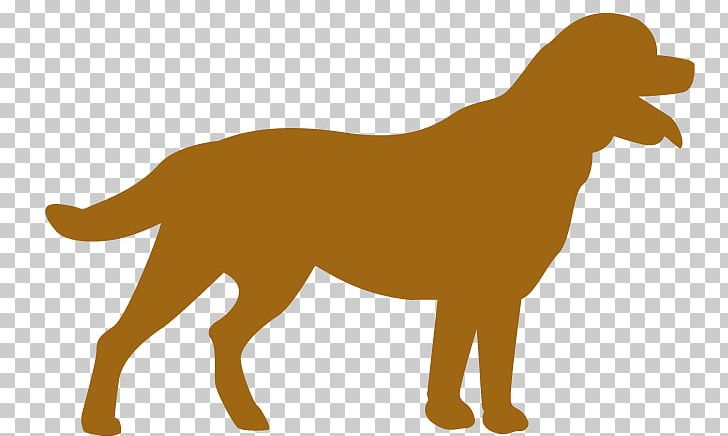 Nova Scotia Duck Tolling Retriever Puppy Dog Breed Companion Dog PNG, Clipart, Breed, Brown Dog, Carnivoran, Colony Of Nova Scotia, Companion Dog Free PNG Download