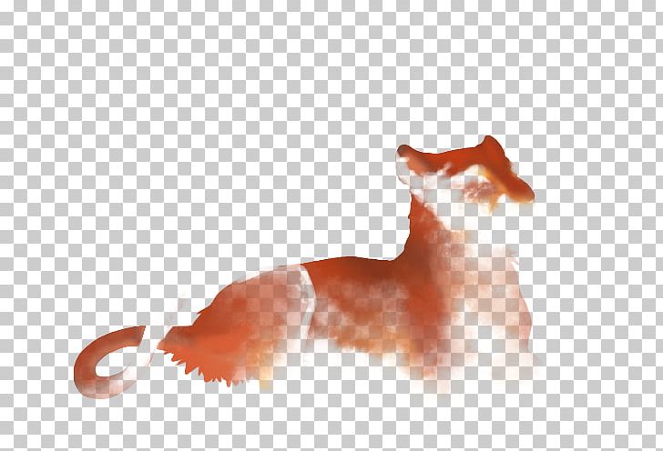 Whiskers Red Fox Cat Snout Tail PNG, Clipart, Animals, Carnivoran, Cat, Cat Like Mammal, Coloursplash Free PNG Download
