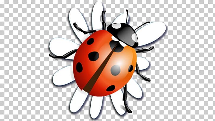 Beetle Ladybird PNG, Clipart, Animals, Beetle, Computer Icons, Download, Encapsulated Postscript Free PNG Download