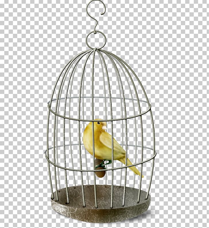 Birdcage Domestic Canary Birdcage PNG, Clipart, Animal, Animals, Bird, Birdcage, Bird Supply Free PNG Download