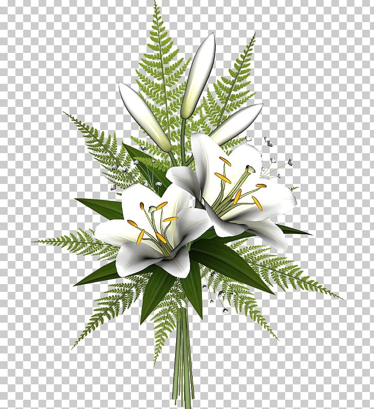 Lilium Blog Flower PNG, Clipart, Blog, Clip Art, Flower, Lilium Free PNG Download