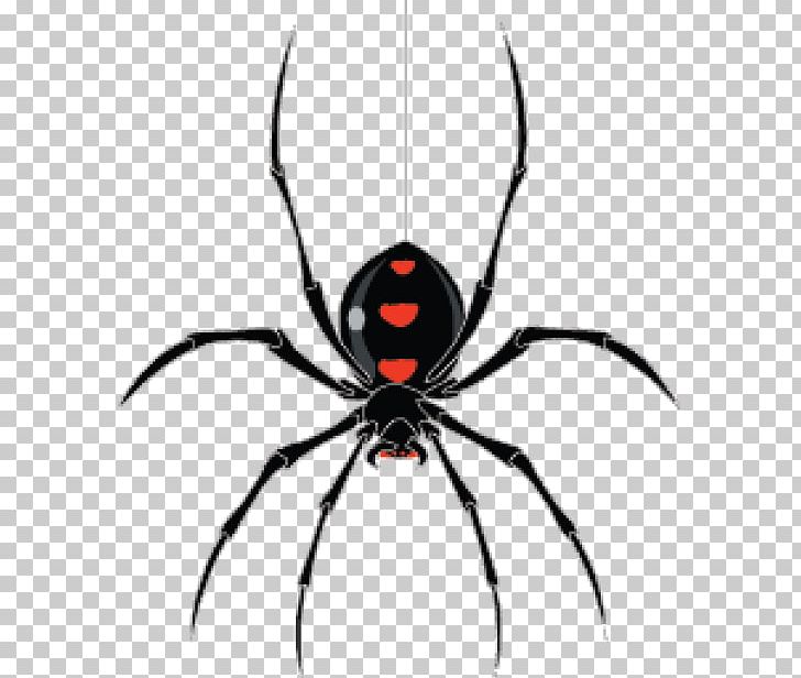 Web Crawler StormCrawler PNG, Clipart, Arachnid, Araneus, Arthropod, Black Widow, Elasticsearch Free PNG Download
